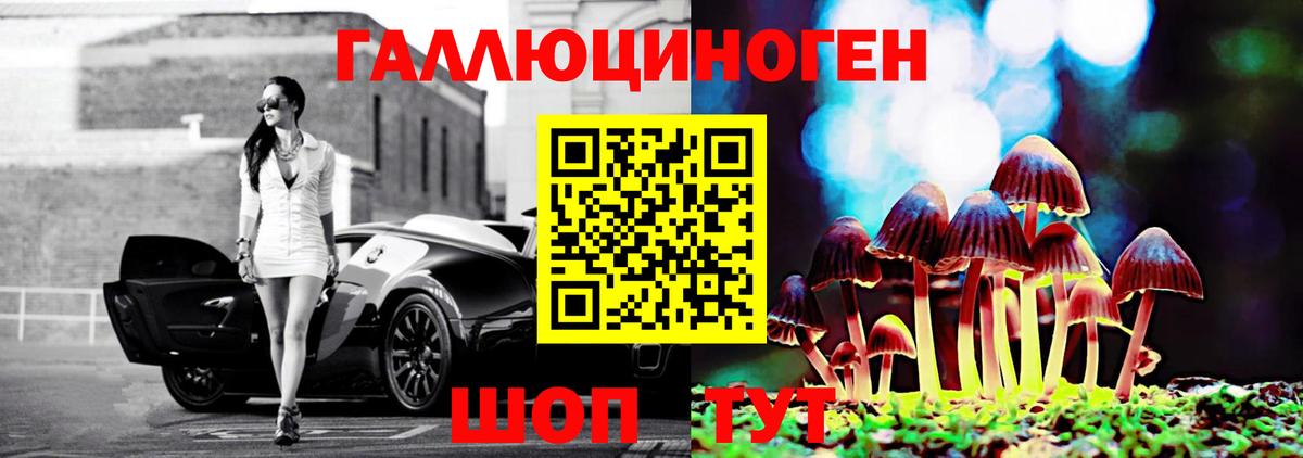 Псилоцибиновые грибы прущие грибы  Вход с VPN  Сафоново 
